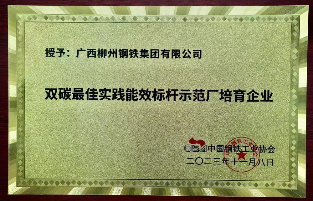 雙碳最佳實(shí)踐能效標(biāo)桿示范廠培育企業(yè)