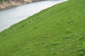 常見護(hù)坡樣式、特點(diǎn)及性能