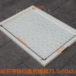 濟(jì)青圓點帶鐵標(biāo)蓋板模具